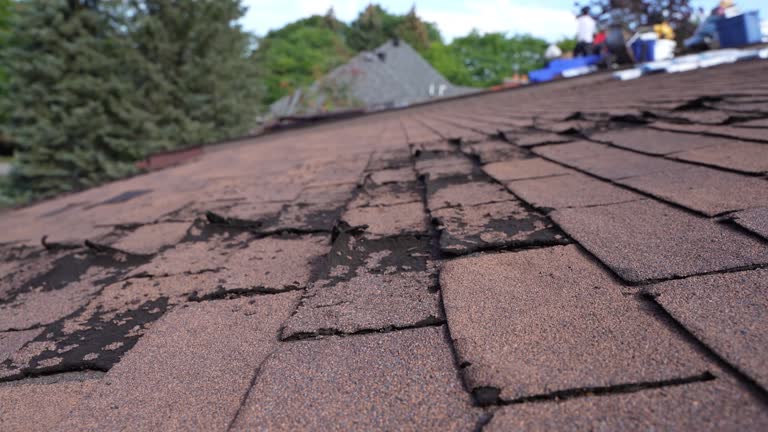 Best Rubber Roofing (EPDM, TPO)  in Aberdeen, WA